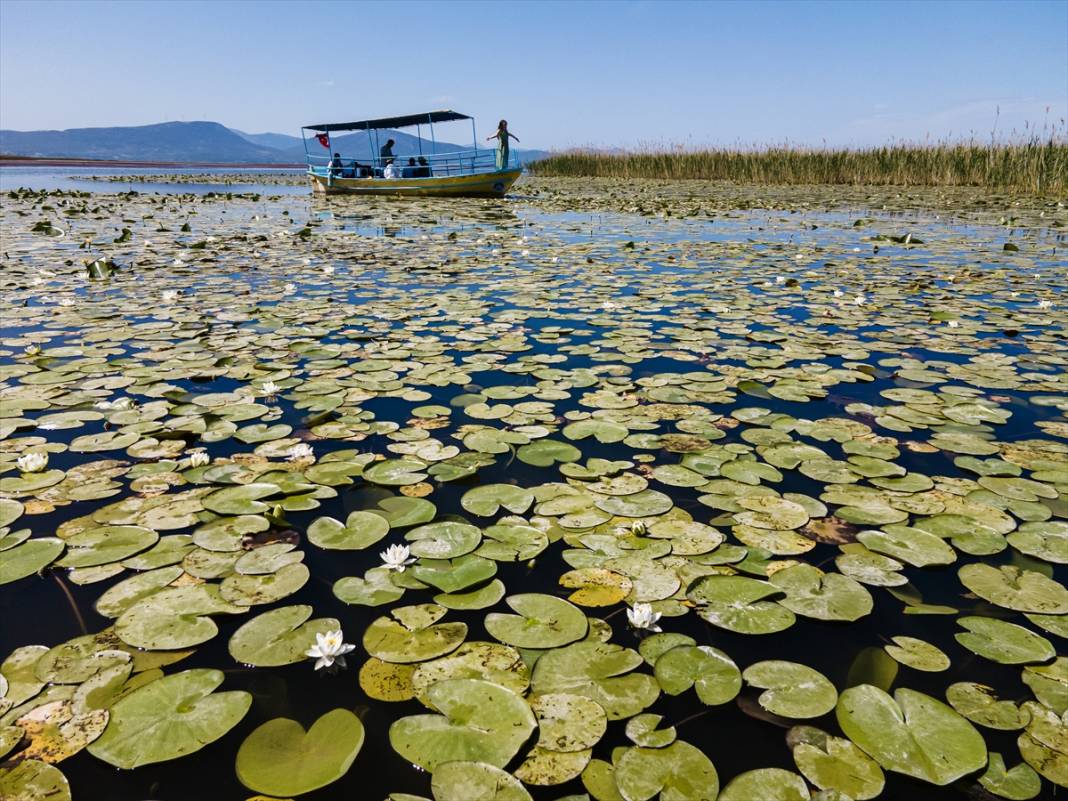 Konya’da beklenen an! Doğanın sessiz mucizesi göz kamaştırmaya başladı 3